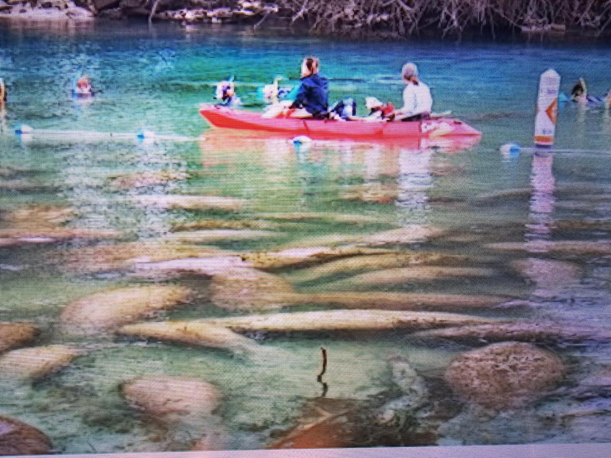 Manatee Watch Den Apartment Crystal River Ngoại thất bức ảnh